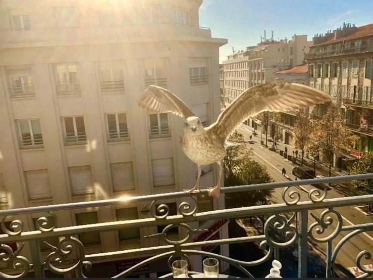 Magnifique Pied A Terre Nice Centre Notre Dame 外观 照片